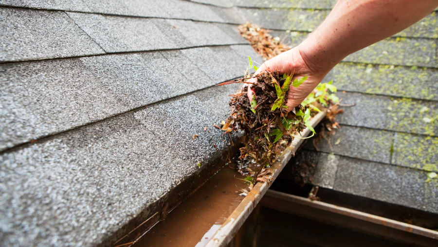 Gutter cleaning image 2